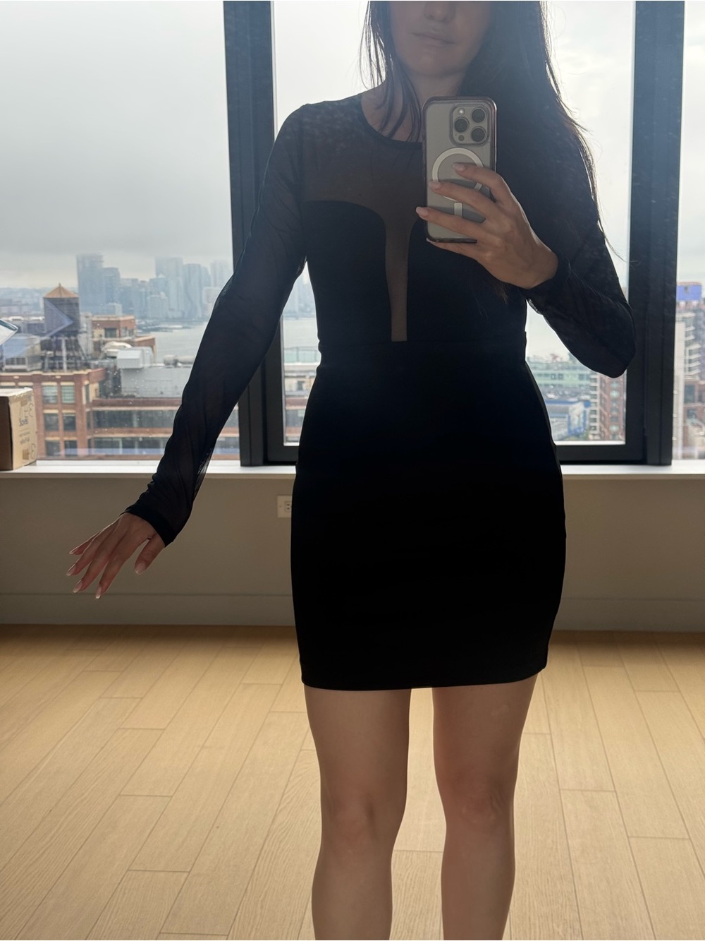 Women's Black Mesh Insert Long-Sleeve Bodycon Dress